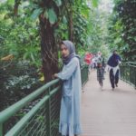 IMG_20180128_103411_773